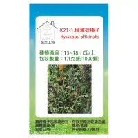 在飛比找momo購物網優惠-【蔬菜工坊】K21-1.柳薄荷種子(神香草.海壽花)