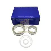 Pneumatic airless spray pump spare parts Wagner Merku 28:1 repair kit for 24A255