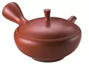 Tokoname-yaki Kyusu Gyokuryu Shudei Tetsubachi Mujiki Kyusu Size 11 From Japan