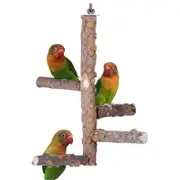 Catzon Bird Perch Natural Wood Stand for 3-4pcs Small Medium Parrots