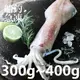 南海豐【船釣！活凍透抽】300-400g/尾 捕撈船上急凍透抽，海上先生嚴選，海鮮食材宅配