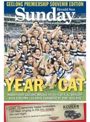 Geelong cats team poster, AFL FOOTBALL,Premiers DOGS,CROWS BOOK,pies, blues 1