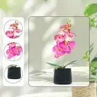 Artificial Phalaenopsis Small Potted Plants Greenery Centerpiece Realistic