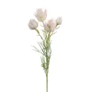 Artificial Silk Australian Native Blushing Bride Flower Spray - Cream Pink (4...