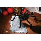 36in Giant Jumping Spider