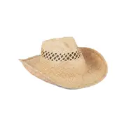 [lack of color] The Desert Cowboy - Natural