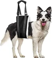 Dog Lift Support Harness Portable Sling for Support to Help Dogs Rear Rehabilitation and Disable Injured Elderly Pet - Helps Dog with Weak Front Or Rear Legs Walk (Black, M)