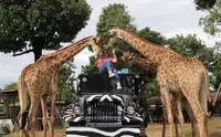 在飛比找KLOOK 客路優惠-野生動物園 & 大城府寺廟 & 泰式服裝之旅