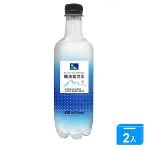 悅氏礦泉氣泡水520ML【兩入組】【愛買】