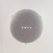 Google Home Mini Wall Bracket