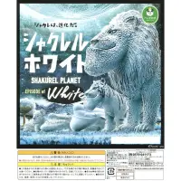 在飛比找蝦皮購物優惠-熊貓之穴 戽斗動物 白子動物 特別篇 白子 刺蝟 戽斗刺蝟 