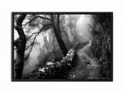 Forest Path Photograpahy art Framed Print Fine Art Poster Print