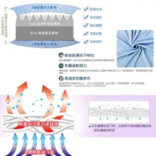 【LooCa】吸濕排汗超透氣12cm記憶床墊(雙人5尺)