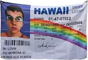 Fake Driver License Flag for McLovin ID Wall Hanging Large Tapestry Funny Flags for Room College Dorm Decor Banner Indoor Bedroom Sign Heavy Wind with Brass