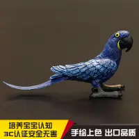 在飛比找露天拍賣優惠-實心兒童仿真動物模型禽類動物玩具 紫藍金剛鸚鵡 鳥類 飛禽禮