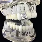 Diamante Design One Tooth Grillz Cap Single Silver Tone Simulated CZ Iced Slug