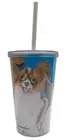 Papillon Tumbler with Straw, Double Wall, 16 Ounces Acrylic Tumbler, BPA-Free
