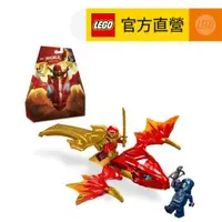 在飛比找蝦皮商城優惠-【LEGO樂高】旋風忍者系列 71801 赤地的升龍攻擊(忍
