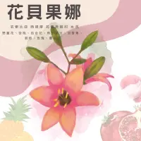 在飛比找蝦皮購物優惠-花香滿滿🌸衣索比亞 西達摩 花貝果娜 水洗