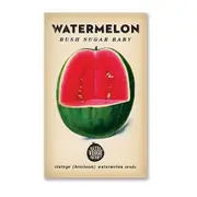 Little Veggie Patch Heirloom seeds - watermelon bush sugar baby