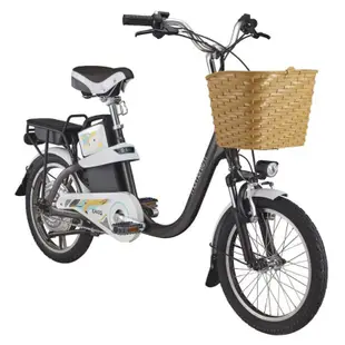全新公司貨 捷安特 GIANT EA102 都會通勤電動自行車