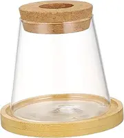 Generic Hydroponic Plant Vase Elegant Glass Planter for Indoor Plants Compact Desktop Propagation Station Versatile Design for Home Office Decoration for Various Hydroponic Growth