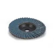 75mm Grinding Wheel Flap Discs 75mm/3inch 80# Flap Discs Grinding Wheels DIY