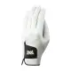 【PXG】男生用AAA級小羊皮高爾夫手套(Men Players Glove)