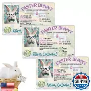 TOPORNEE Easter Basket Stuffers,Bunny Driver's License Card - Magical Proof o