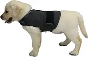 KittyStar Breathable Thunder Shirts for Dogs, Dog Anxiety Vest Jacket Warp,Puppy Calming Coat Anxiety Relief,Gray (S)