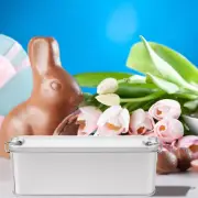 Goods Biscuits Packaging Food Containers with Lids Cereal Gift Boxes