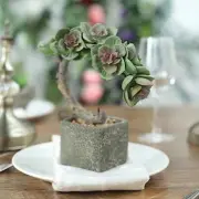 8-Inch tall Brown Concrete Planter Pot Green Artificial Mini Succulents Tree