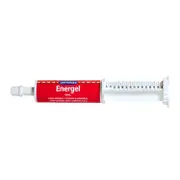 Vetsense Energel For Cats & Dogs (60g) | Pet Supplement