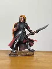 Painted Noreth Skyblade Elf Fighter Reaper Miniatures Painted D&D Pathfinder DND