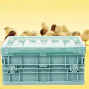 Incubator Chicks Mini Incubators Parrots Chicken for Eggs Supplies