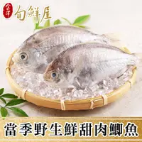 在飛比找蝦皮商城優惠-金澤旬鮮屋 當季野生肉鯽魚(100g/尾；每包四尾) 現貨 