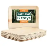 20 Pack2x0 Palm Leaf Platters Bamboo Serving 12" Rectangle Platter (12 Pack) 1