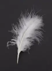 30 Pcs MARABOU PLUMAGE Feathers 2-5" Color : WHITE for Halloween Costumes, Hats