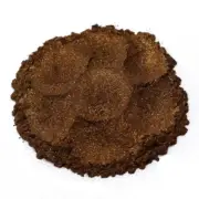 PURE ESSENTIALS BARE EYE SHADOW MINERALS/LINER - COGNAC - 10G Sifter Jar