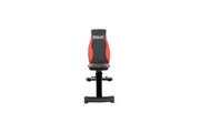 Everlast Adjustable Incline Bench