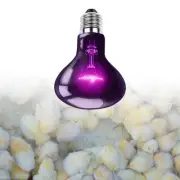 Heat Lamp Bulb Basking Light Bulb Simulated Moonlight Heat Lamp for Bearded