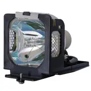 610 307 7925 Lamp for EIKI LC-SB26