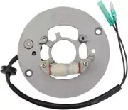 Rick's Motorsports Stator fits Yamaha PW80 Y-Zinger 1995-2003