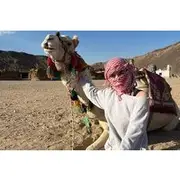 Save 15.02%! Private Safari ATV Quad Biking in Hurghada