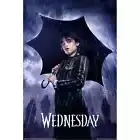 Wednesday Addams Downpour Wall Bedroom Poster Party Backdrop 61x91.5cm