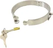 RTNPKLA BDSM Bondage Stainless Steel Sex Collars, Metal Collar Choker Removable Neck Restraint with Invisible Lock Collar Restraint Role Play Sex Toys for Couples(Männer)