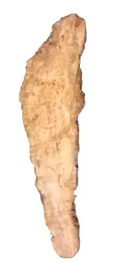 SPALTED MAPLE SLAB TURNING CRAFTING WOODWORKING APPROX 37x10x1.25 IN