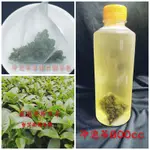 茶包👉冷泡茶日本專用PET三角立體袋茶加大加量5克🍃紅玉茶包🍃茉莉花香茶包A