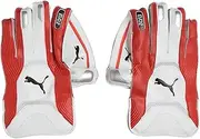 Puma Evo 2 Wicket Keeping Gloves