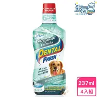 在飛比找momo購物網優惠-【美國潔牙白Dental Fresh】一般版潔牙液 237m